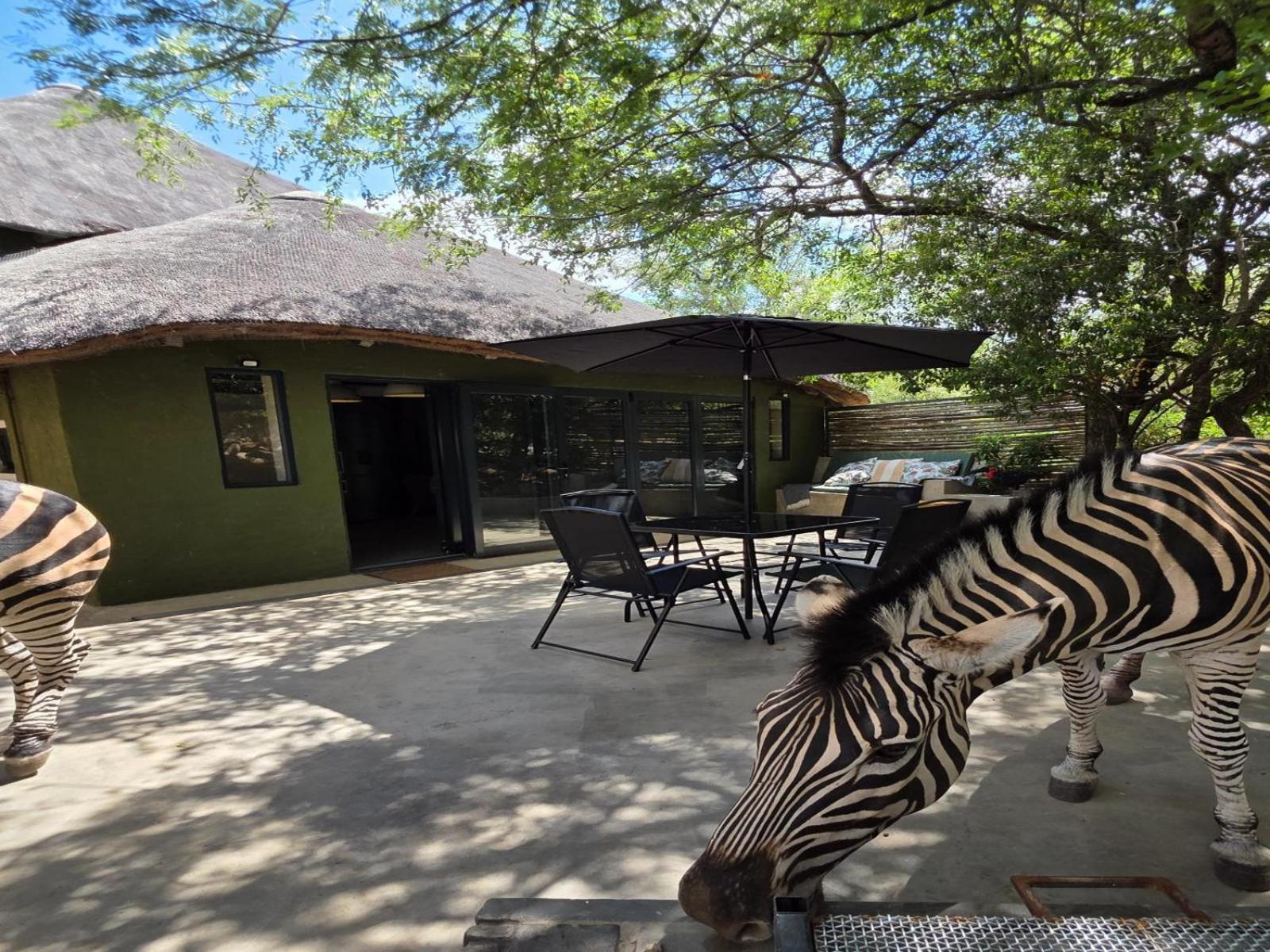 Casa de Férias Croc Orvyll's Kruger Marloth Park